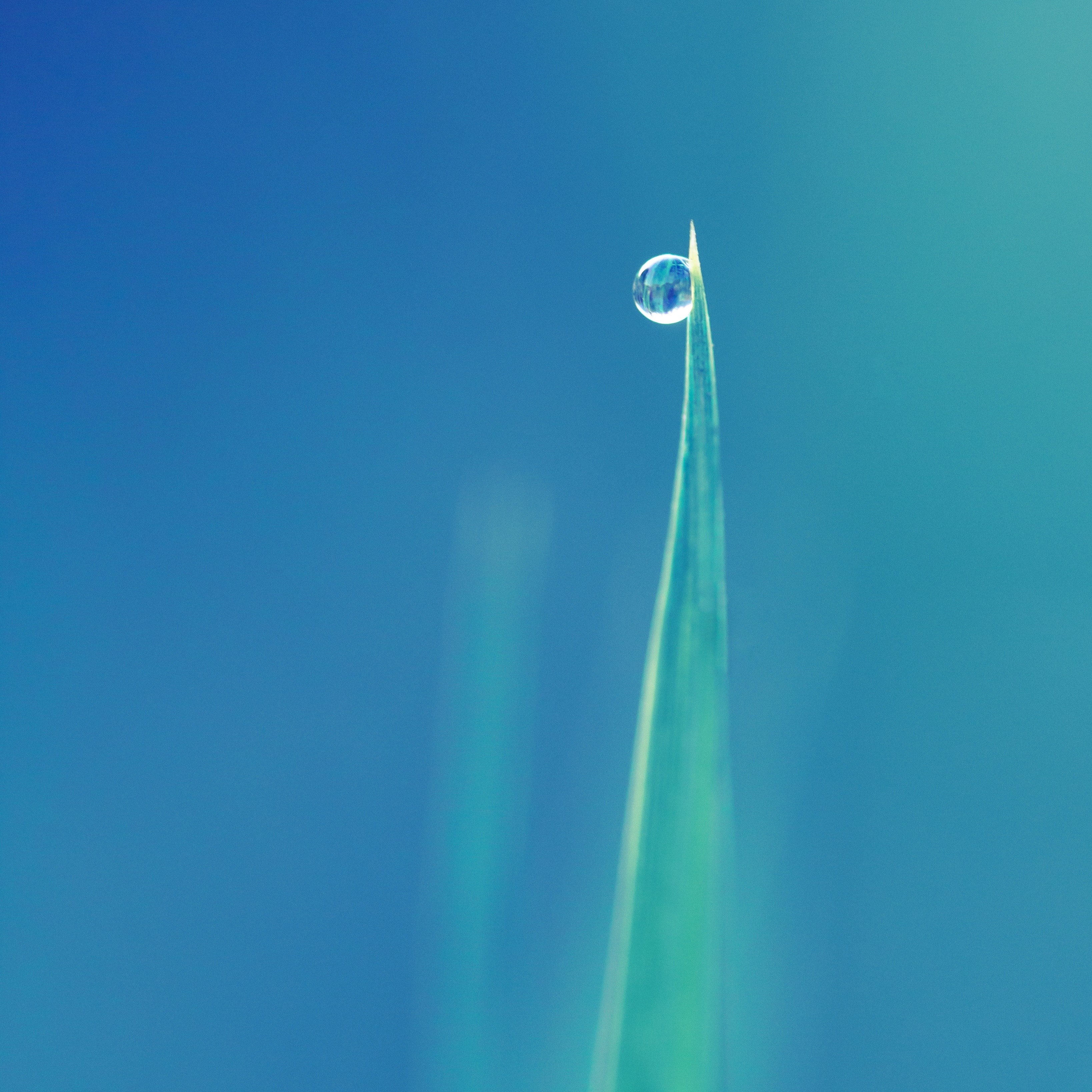 Sürdürülebilirlik